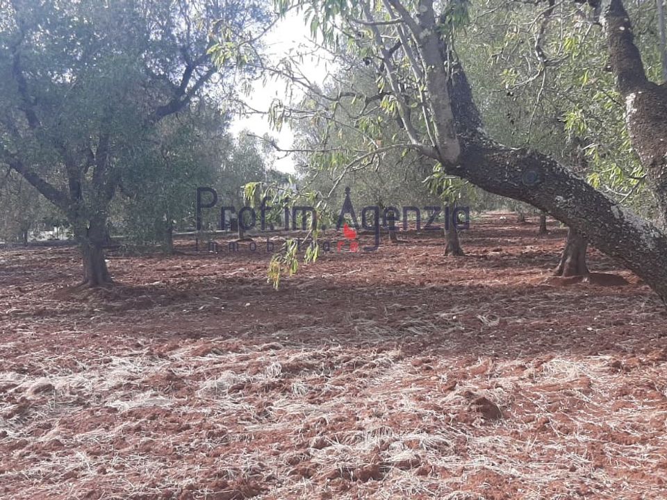Landejendom i Ceglie Messapica, Brindisi - foto 5
