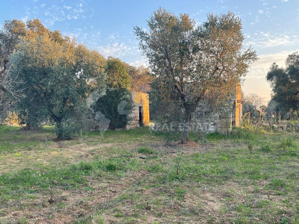 Erhvervsejendom i Carovigno, Brindisi - foto 2