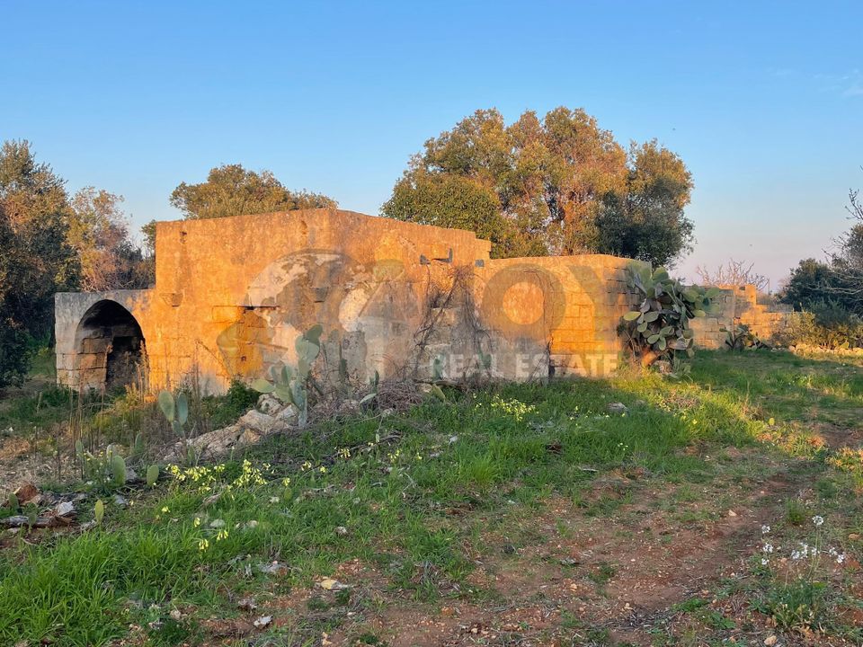 Erhvervsejendom i Carovigno, Brindisi - foto 5