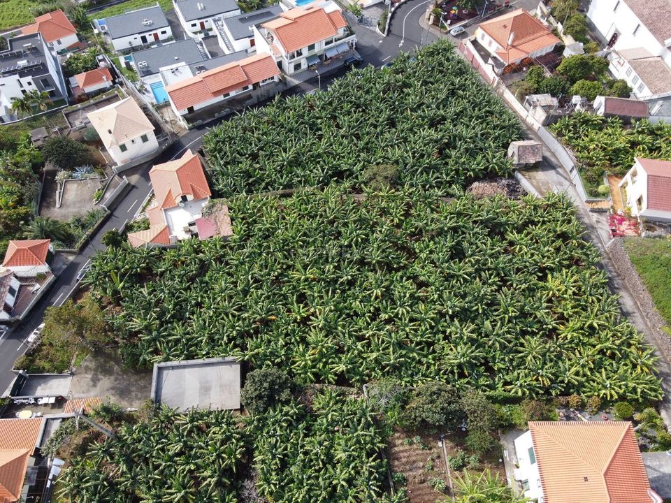 Helårsgrund i Calheta, Madeira - foto 2