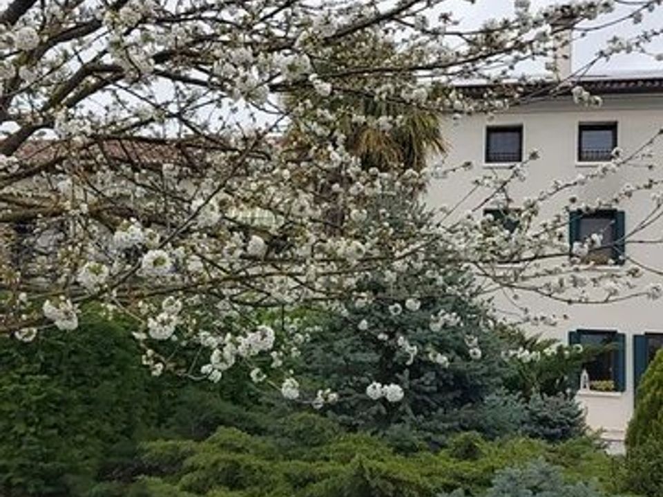 Villa i Codogne, Treviso - foto 3