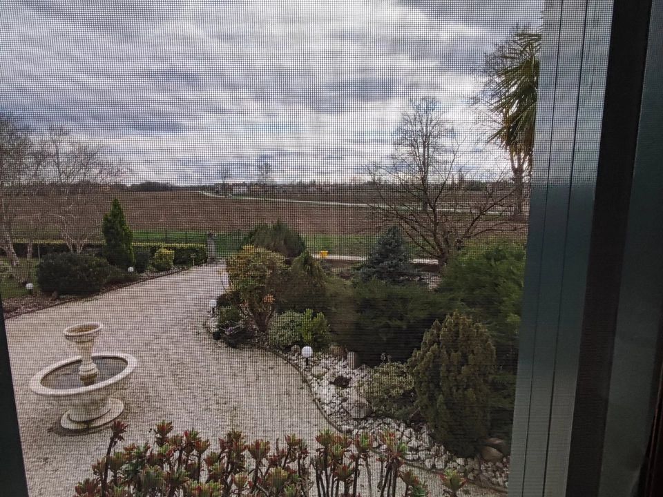 Villa i Codogne, Treviso - foto 5