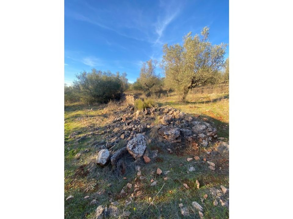 Helårsgrund i Sousel, Portalegre - foto 4