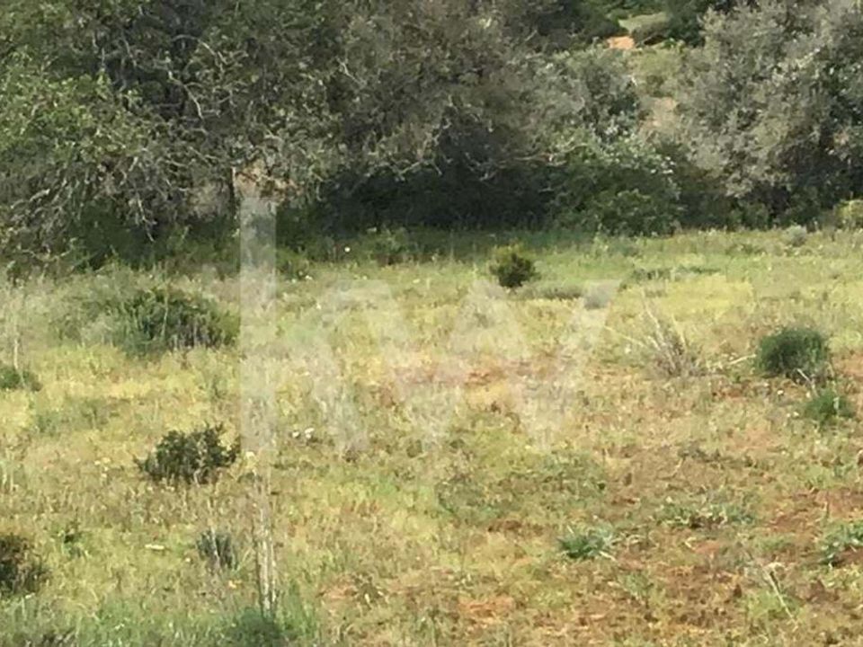 Helårsgrund i Lagoa, Faro - foto 5