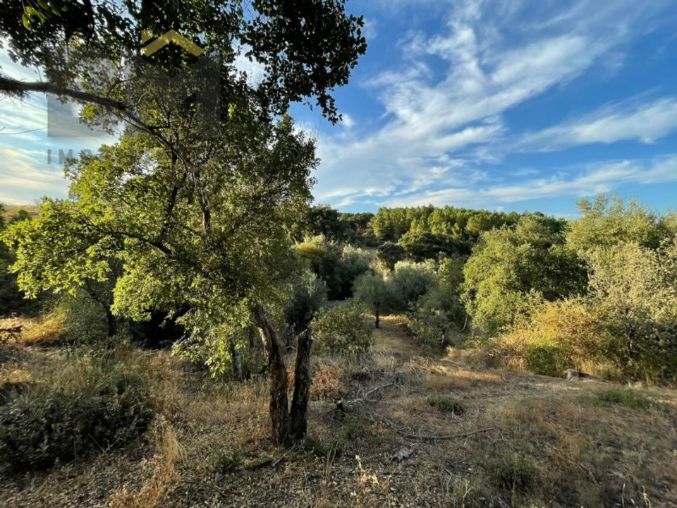 Helårsgrund i Castelo Branco, Castelo Branco - foto 4