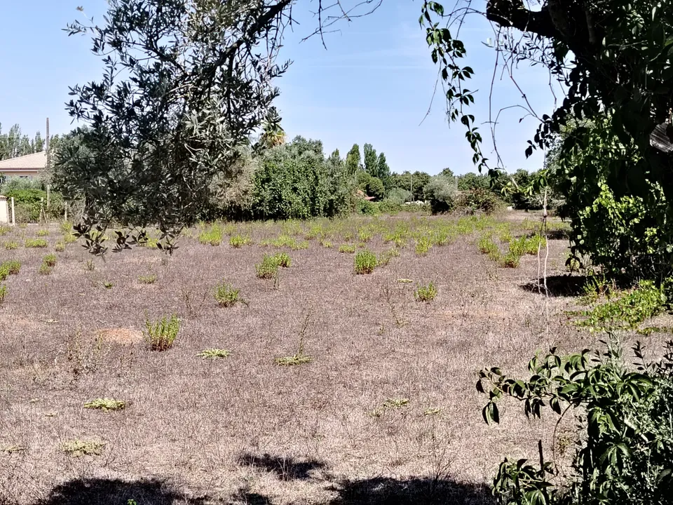 Helårsgrund i Anzio, Rome - foto 4