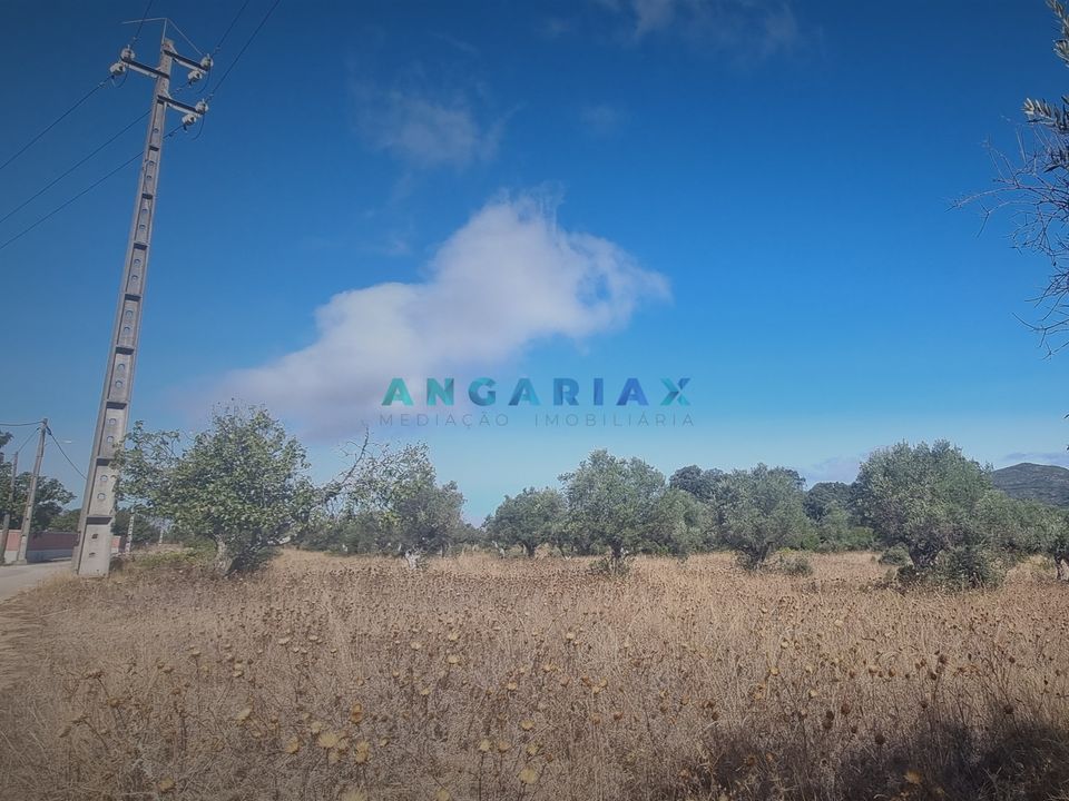 Helårsgrund i Alcanena, Santarem - foto 5