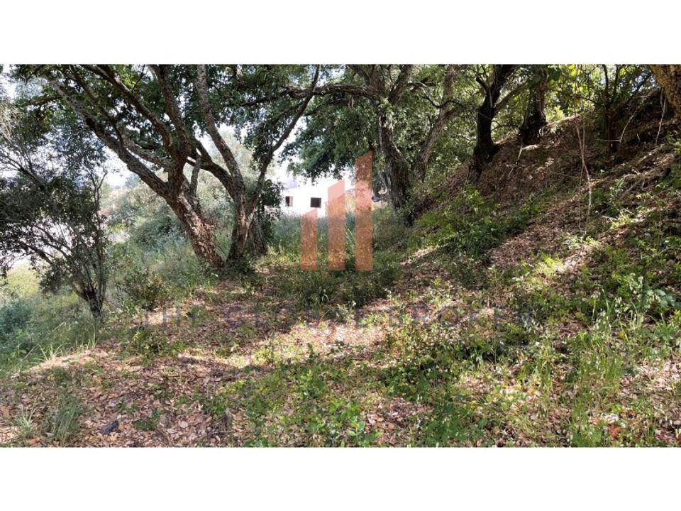 Helårsgrund i Azambuja, Lisbon - foto 2