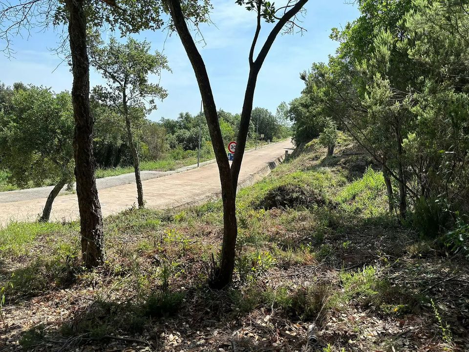 Helårsgrund i Calonge, Gerona - foto 3