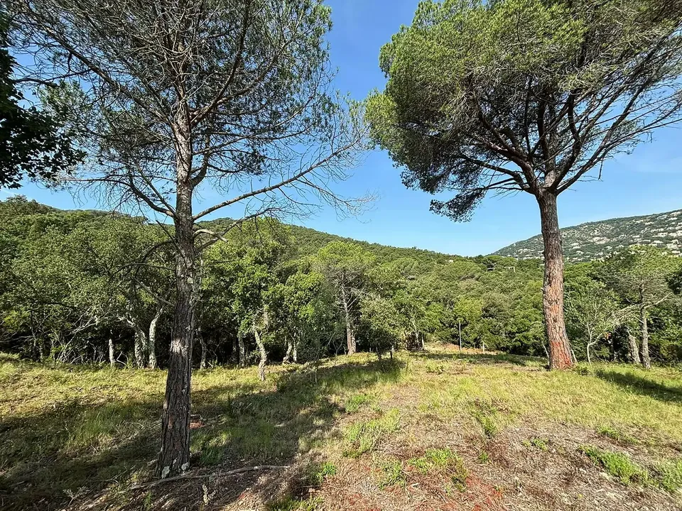 Helårsgrund i Calonge, Gerona - foto 4