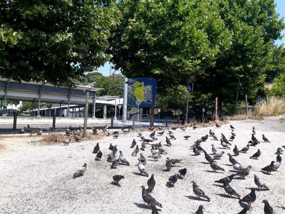 Erhvervsejendom i Odivelas, Lisbon - foto 3