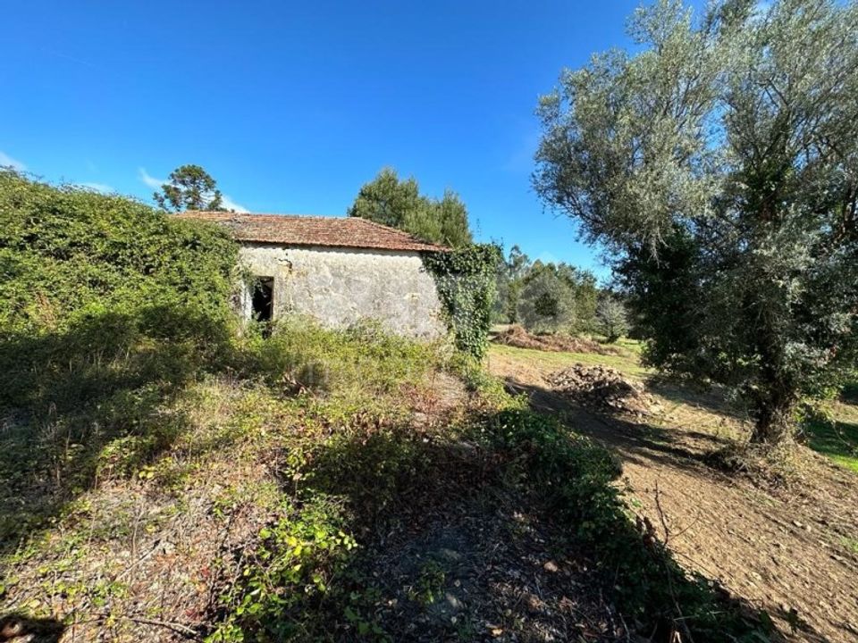 Farm i Viana do Castelo, Viana do Castelo - foto 1
