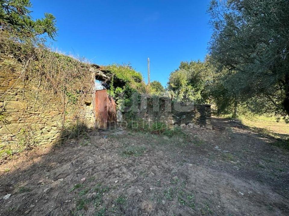 Farm i Viana do Castelo, Viana do Castelo - foto 5