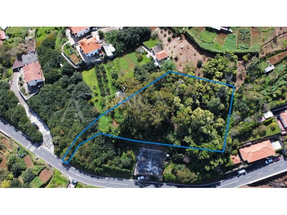 Helårsgrund i Machico, Madeira - foto 1