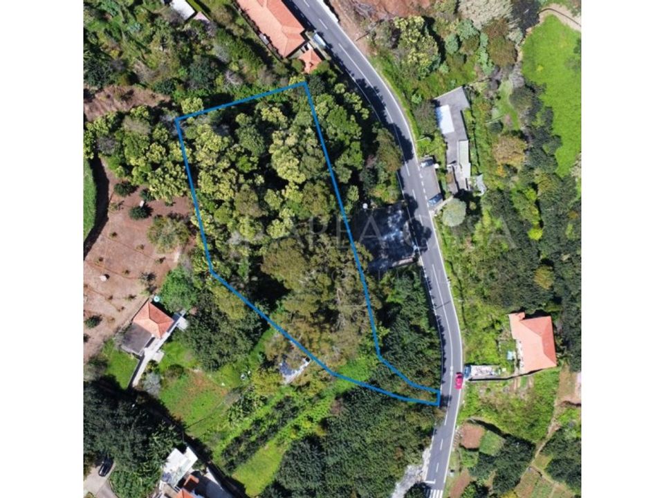Helårsgrund i Machico, Madeira - foto 2
