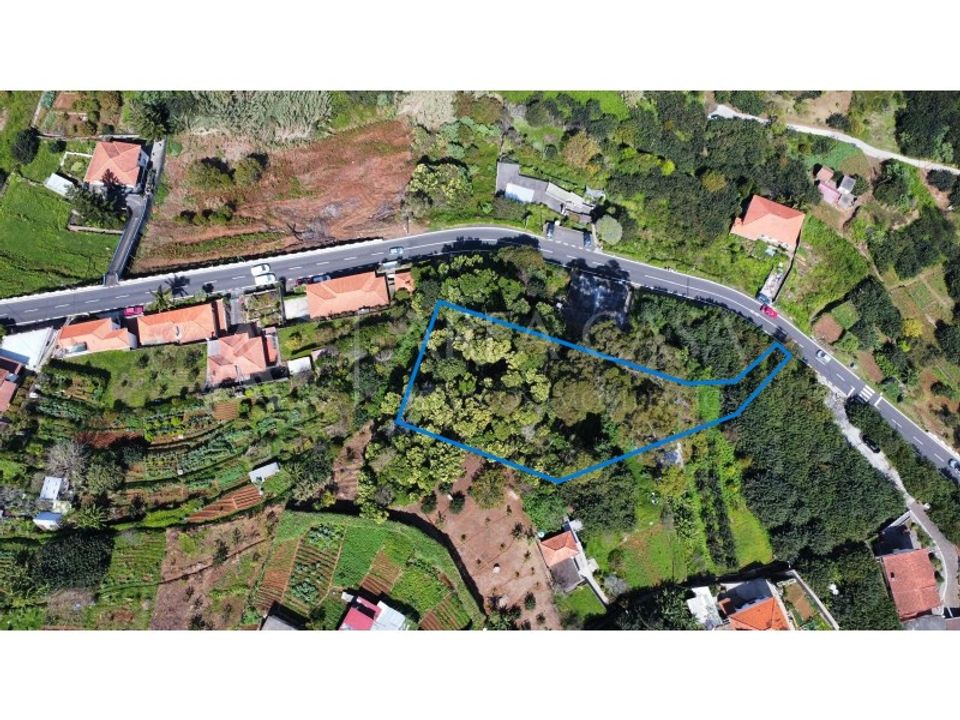 Helårsgrund i Machico, Madeira - foto 3
