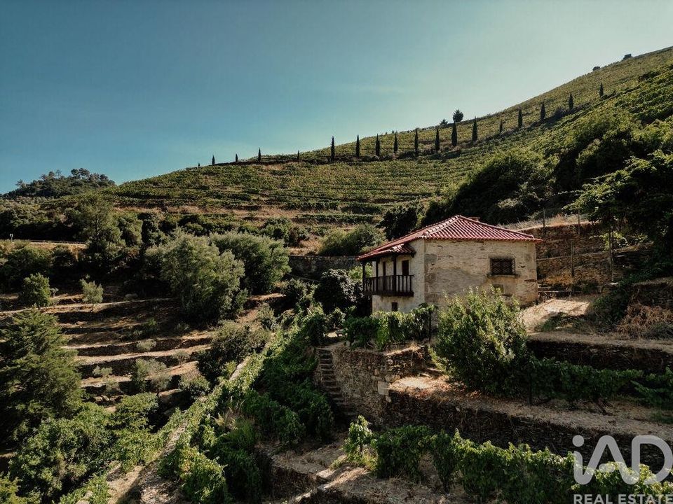 Rekkehus i Tabuaco, Viseu - bilde 1