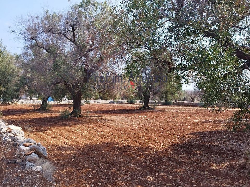 Helårsgrund i San Vito dei Normanni, Brindisi - foto 3