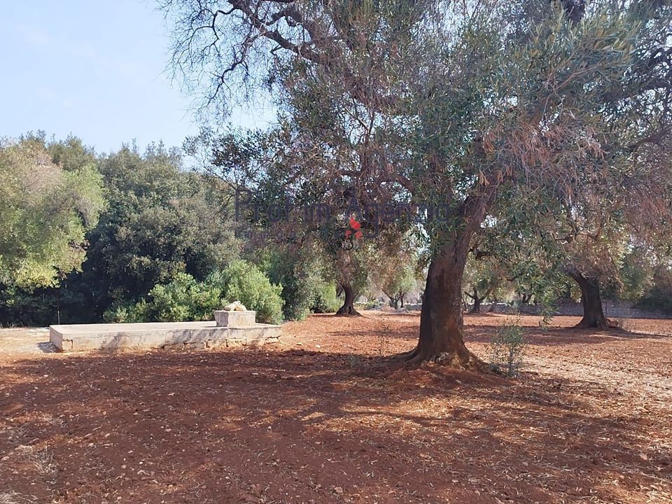 Helårsgrund i San Vito dei Normanni, Brindisi - foto 1