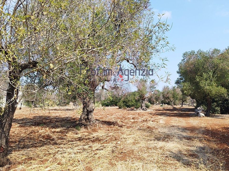 Helårsgrund i San Vito dei Normanni, Brindisi - foto 2
