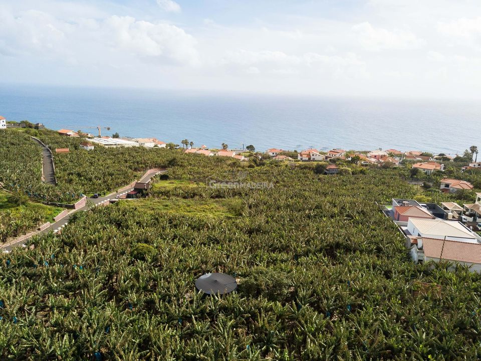 Helårsgrund i Calheta, Madeira - foto 3