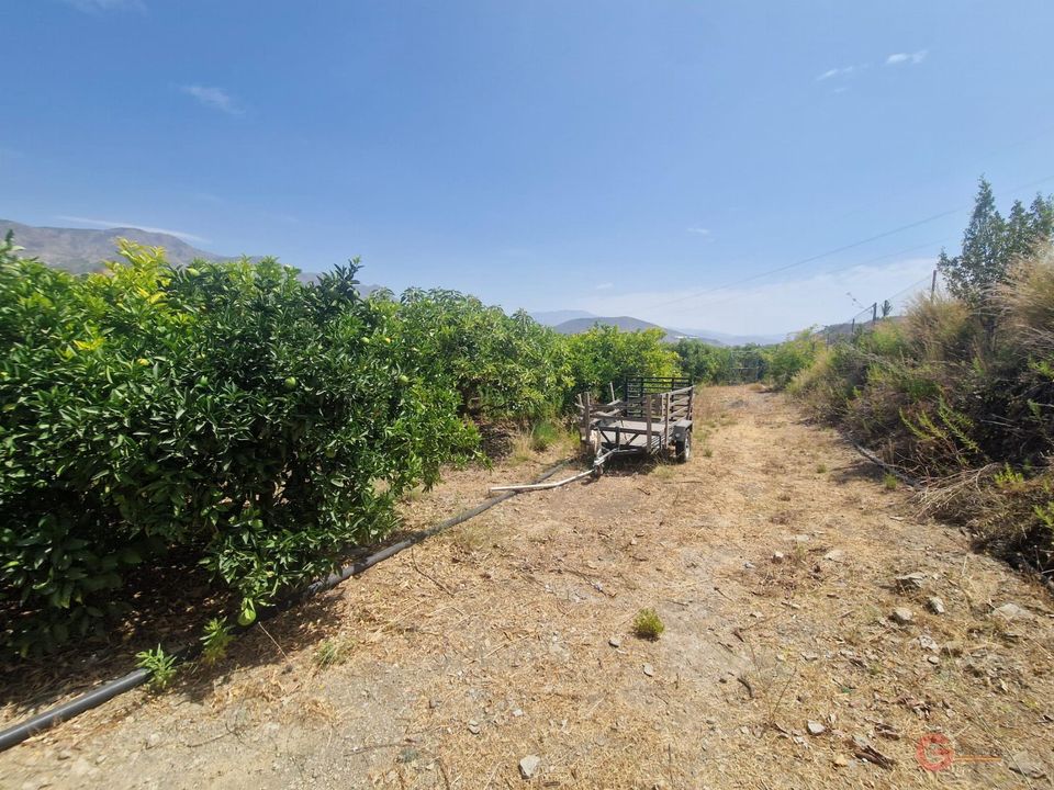 Finca i Molvizar, Granada - foto 5
