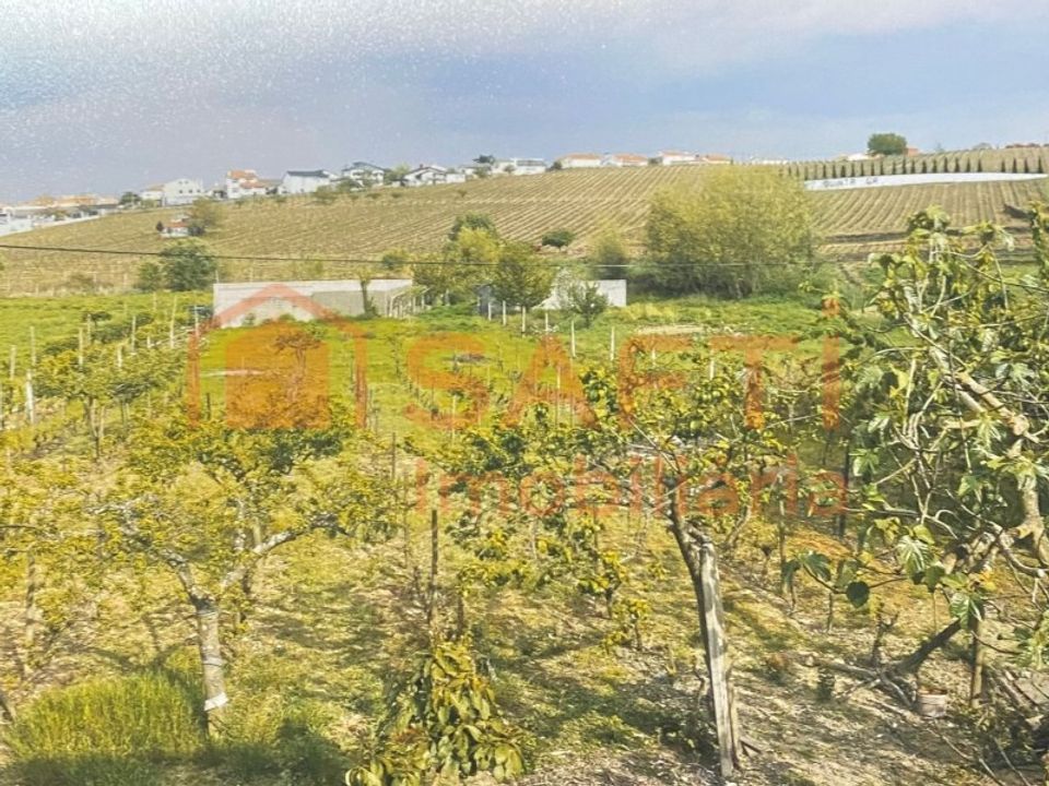 Villa i Alijo, Vila Real - foto 3