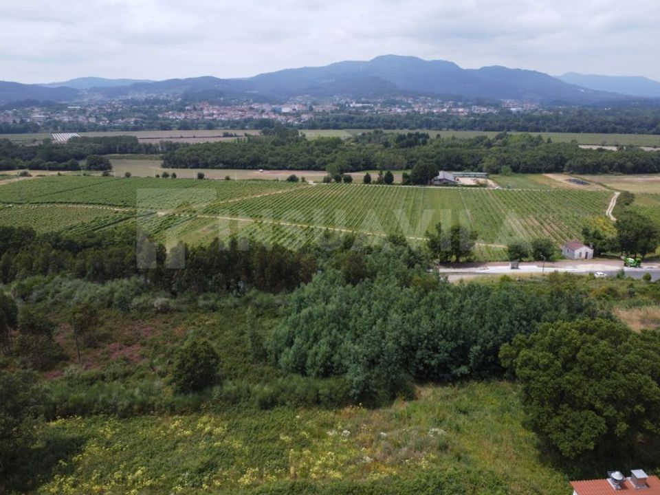 Helårsgrund i Valenca, Viana do Castelo - foto 3