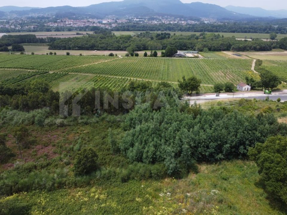 Helårsgrund i Valenca, Viana do Castelo - foto 4