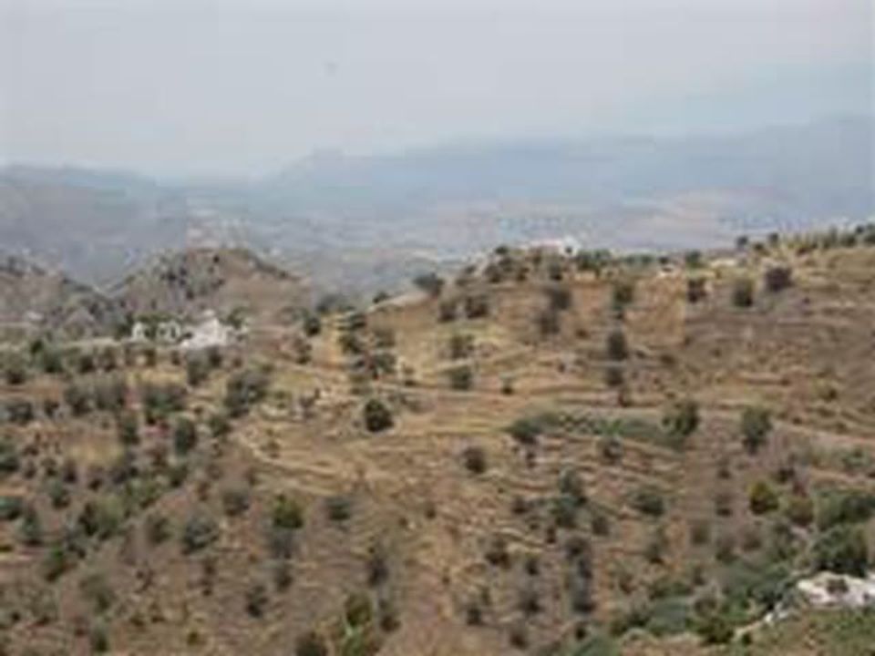 Helårsgrund i Sedella, Malaga - foto 2