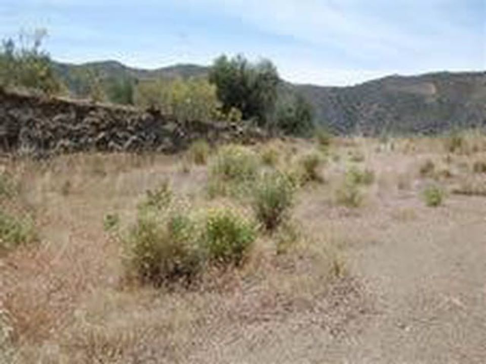 Helårsgrund i Sedella, Malaga - foto 3