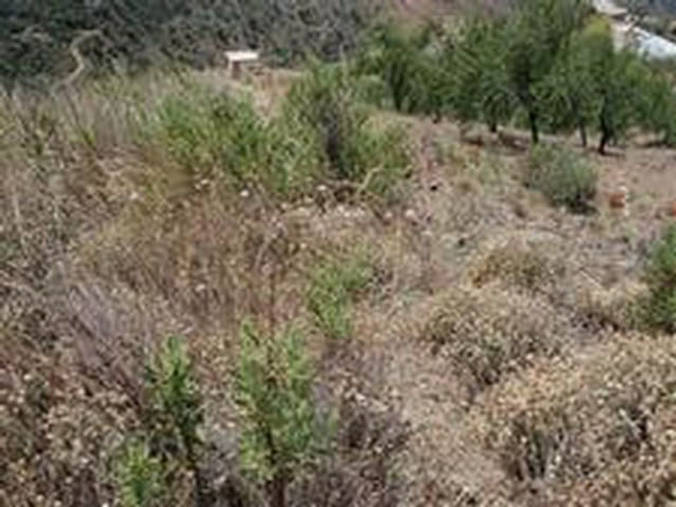 Helårsgrund i Sedella, Malaga - foto 4
