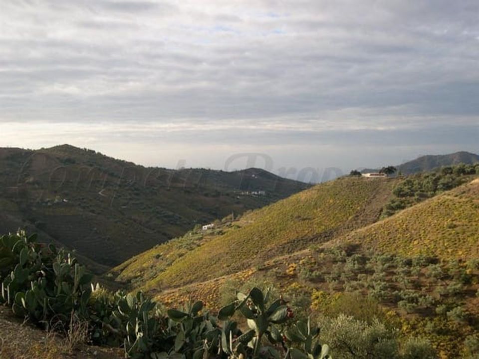 Helårsgrund i Canillas De Albaida, Malaga - foto 2