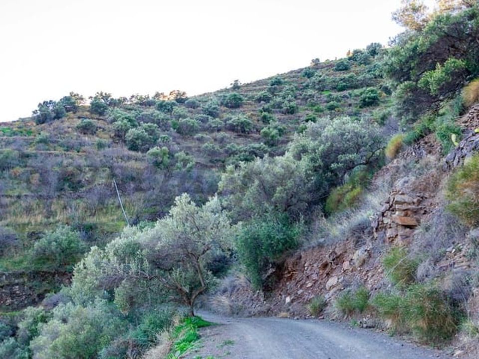 Helårsgrund i Torrox, Malaga - foto 5