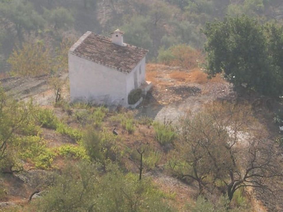 Helårsgrund i Sedella, Malaga - foto 2