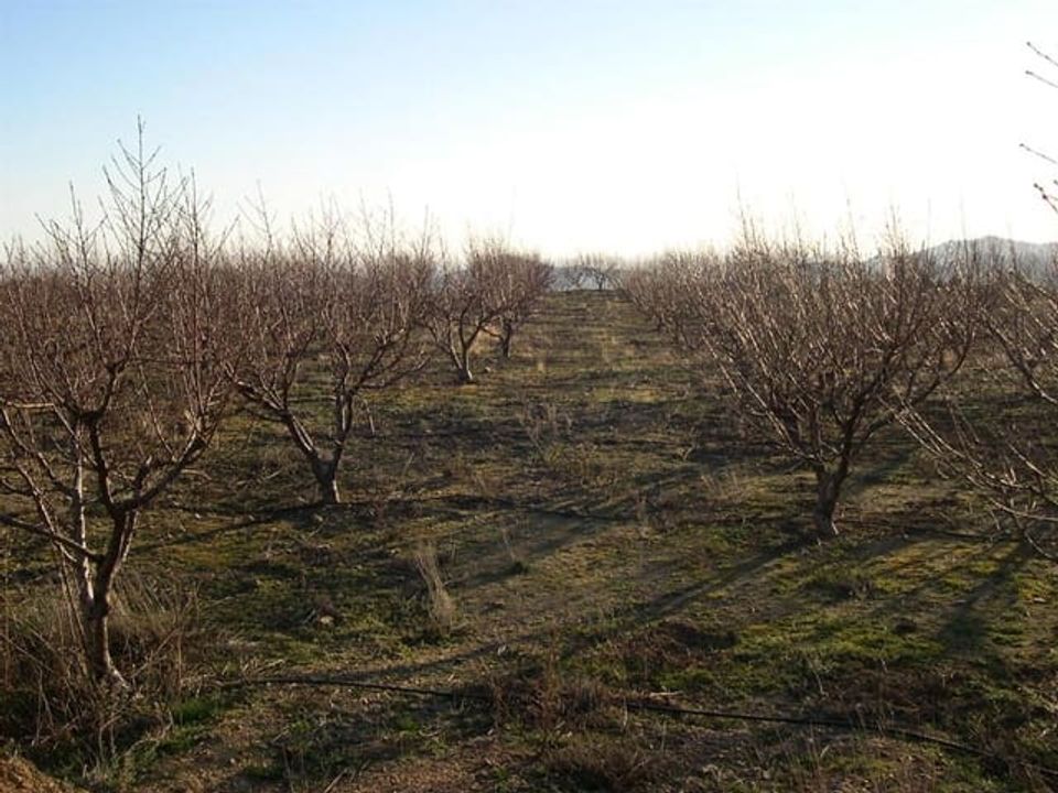 Helårsgrund i Canillas De Albaida, Malaga - foto 1