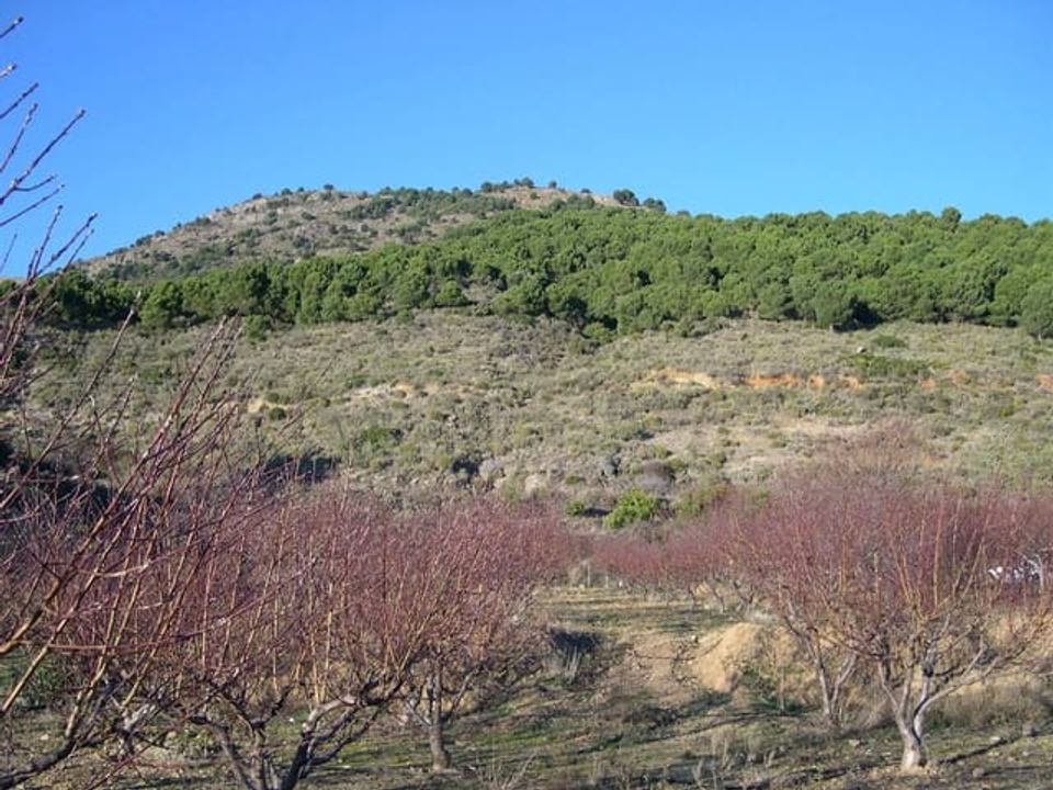 Helårsgrund i Canillas De Albaida, Malaga - foto 4