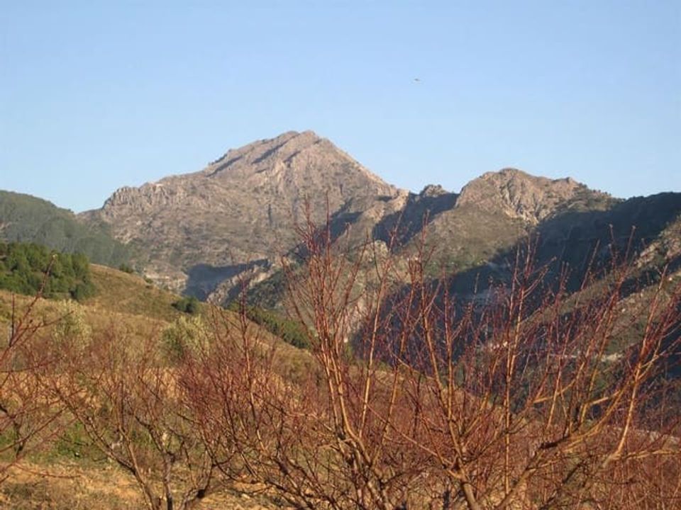 Helårsgrund i Canillas De Albaida, Malaga - foto 5