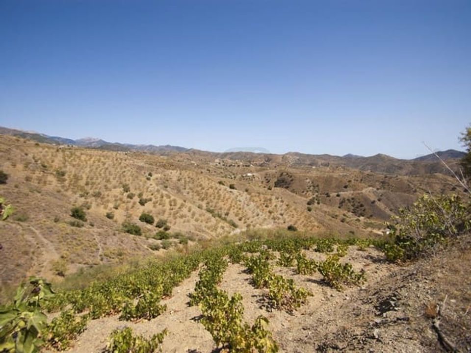 Helårsgrund i Sedella, Malaga - foto 1