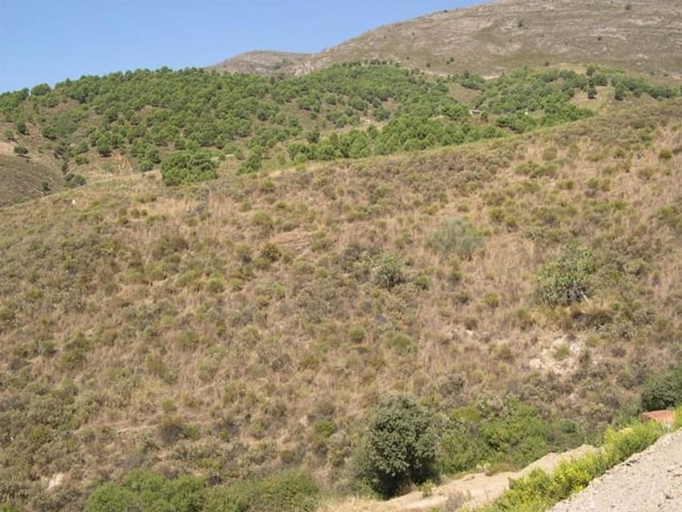 Helårsgrund i Sedella, Malaga - foto 1