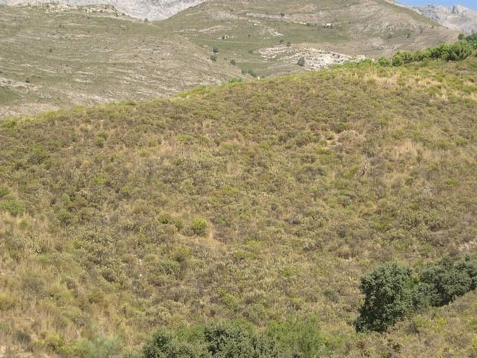 Helårsgrund i Sedella, Malaga - foto 2