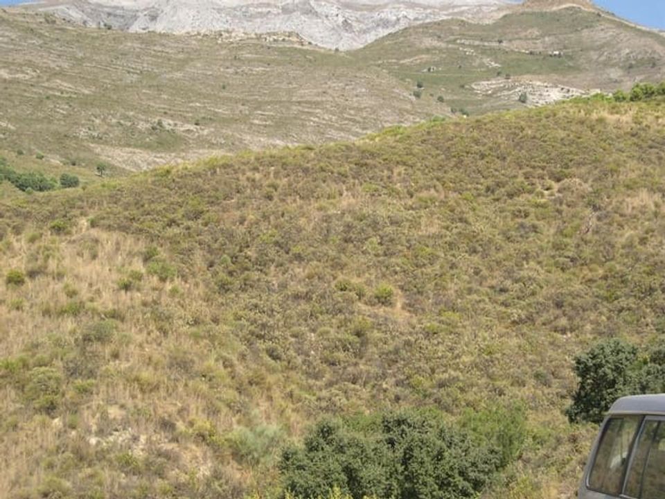 Helårsgrund i Sedella, Malaga - foto 3
