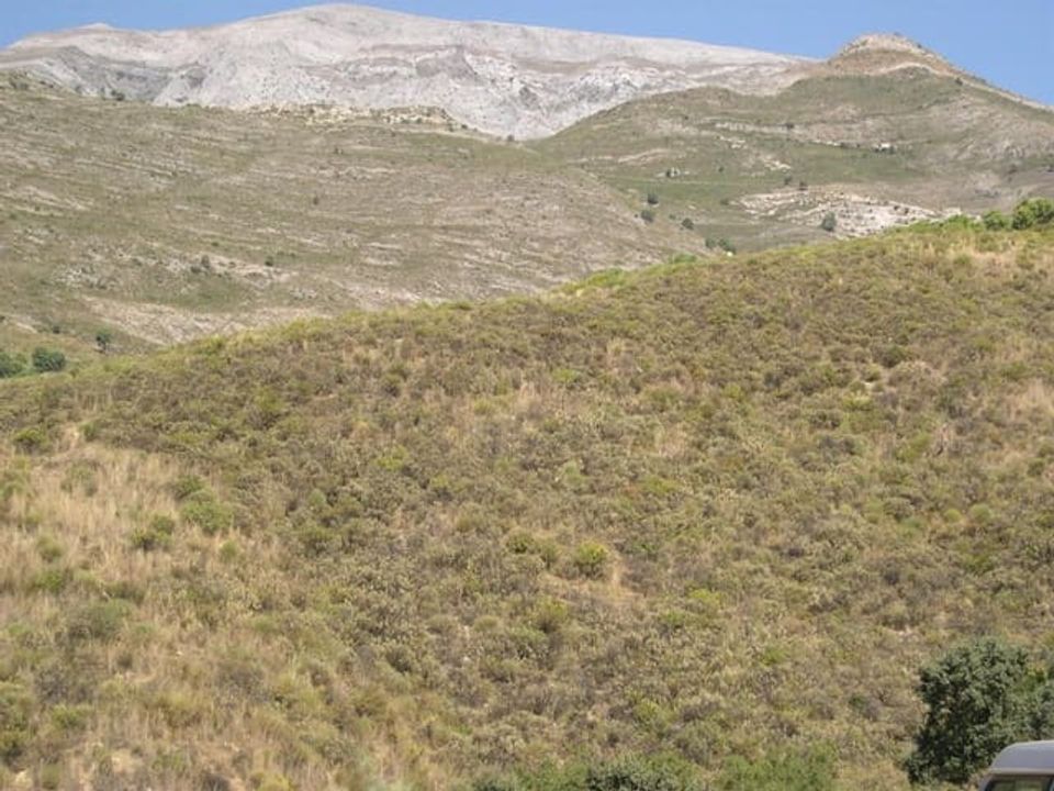 Helårsgrund i Sedella, Malaga - foto 4