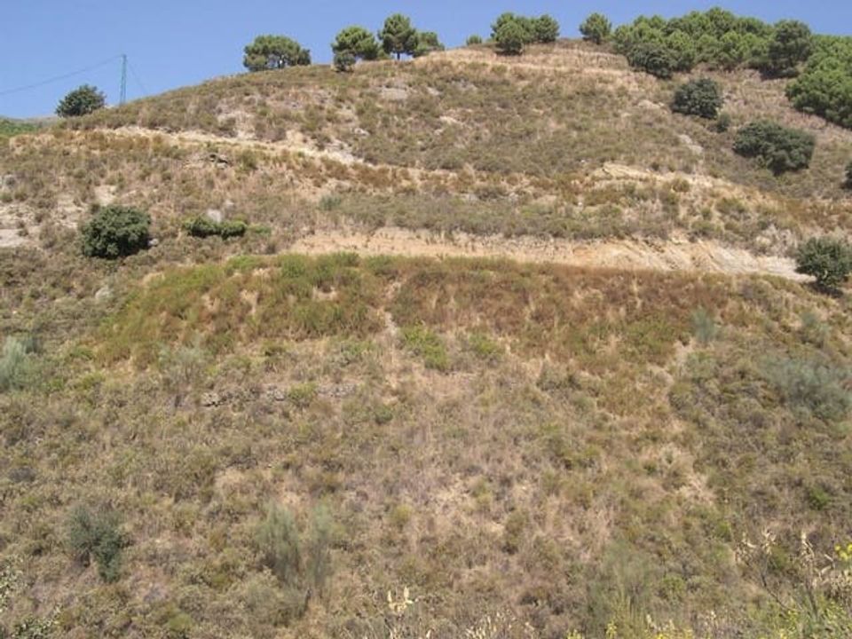 Helårsgrund i Sedella, Malaga - foto 5