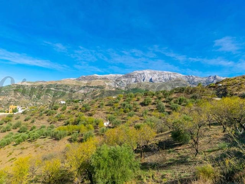 Helårsgrund i Sedella, Malaga - foto 1