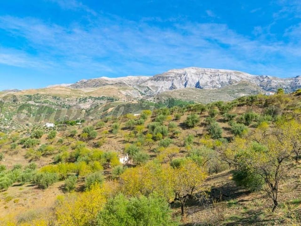 Helårsgrund i Sedella, Malaga - foto 2