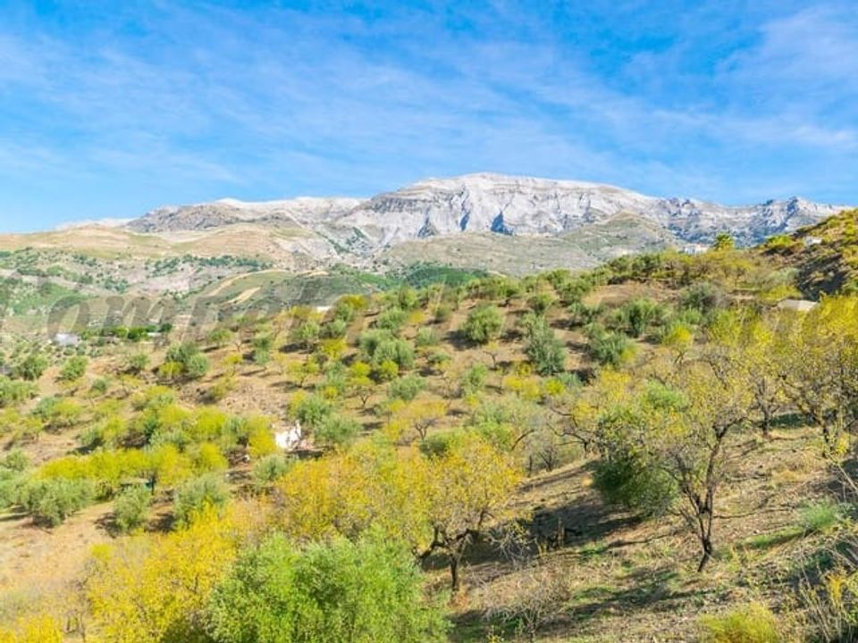 Helårsgrund i Sedella, Malaga - foto 3