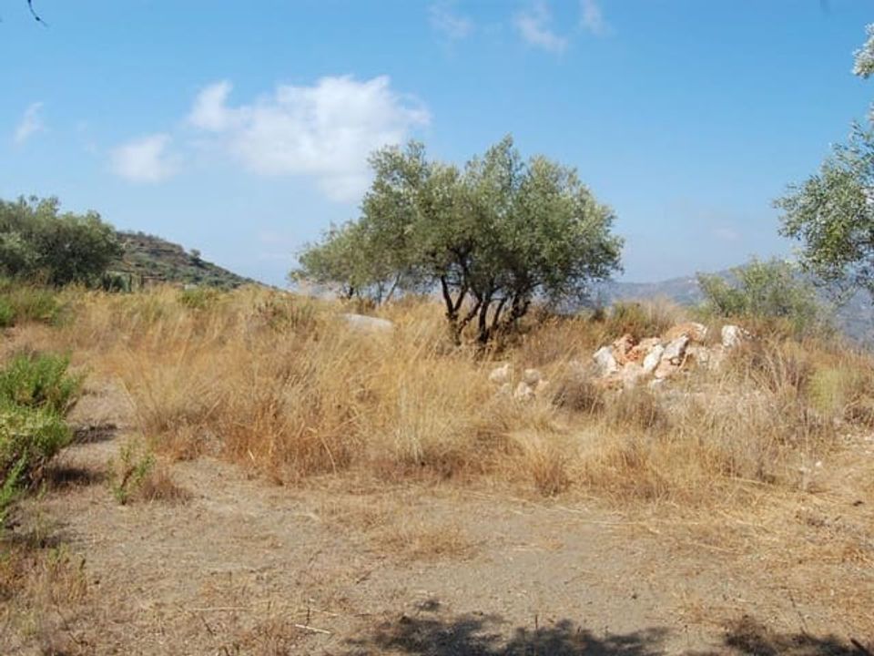 Helårsgrund i Competa, Malaga - foto 4