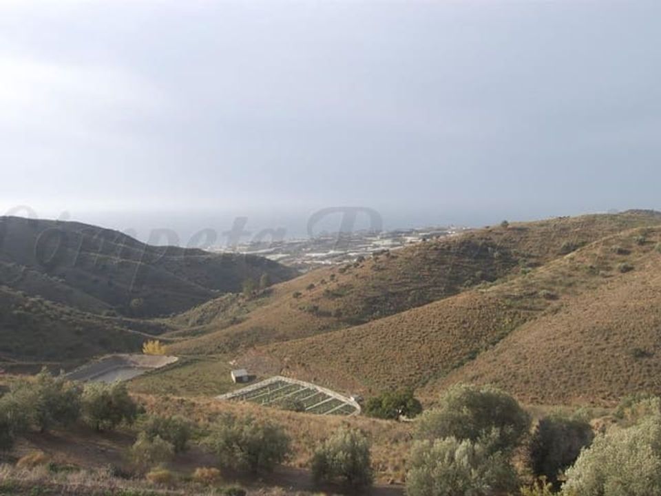 Helårsgrund i Sayalonga, Malaga - foto 1