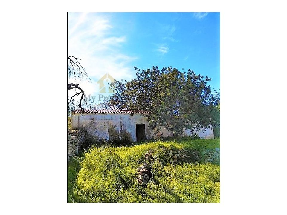 Ruinere i Paderne, Faro - foto 2
